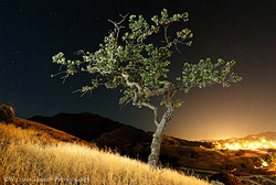 Santa Monica Mountains